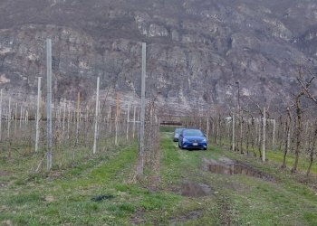 b11fb7fa-f8c7-4238-b5e8-fa3400c68885.jpg - Magazzino Aldeno - foto 17