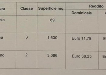 6e8eedf1-3830-4c99-84d4-643f6f973835.jpg - Magazzino Aldeno - foto 18