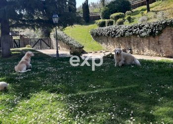 Villa Arezzo - photo 5