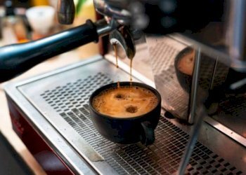 Cafeteria - Cold Bar Bologna - photo 1