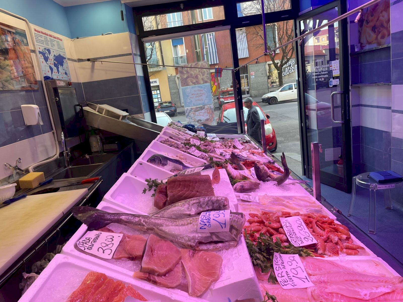 Pescheria via Borgaro, 79/C, Torino (zona Madonna Campagna) - foto 3