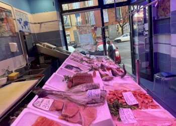 Pescheria via Borgaro, 79/C, Torino (zona Madonna Campagna) - foto 3