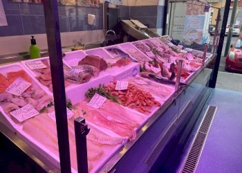 Pescheria via Borgaro, 79/C, Torino (zona Madonna Campagna) - foto 5