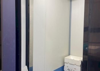 Pescheria via Borgaro, 79/C, Torino (zona Madonna Campagna) - foto 6