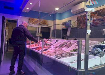 Pescheria via Borgaro, 79/C, Torino (zona Madonna Campagna) - foto 10