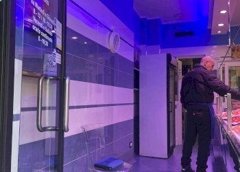 Pescheria via Borgaro, 79/C, Torino (zona Madonna Campagna) - foto 11