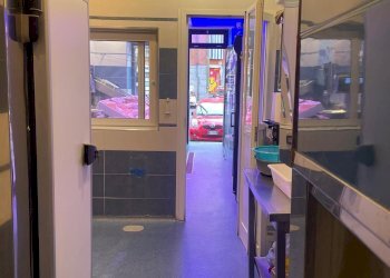 Pescheria via Borgaro, 79/C, Torino (zona Madonna Campagna) - foto 12