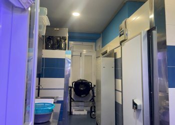 Pescheria via Borgaro, 79/C, Torino (zona Madonna Campagna) - foto 13