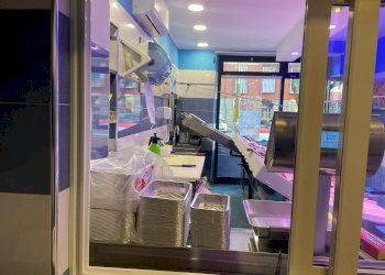 Pescheria via Borgaro, 79/C, Torino (zona Madonna Campagna) - foto 15