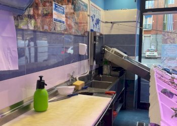 Pescheria via Borgaro, 79/C, Torino (zona Madonna Campagna) - foto 16