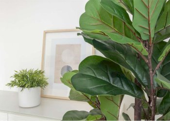 Quadrilocale Modena (zona Circoscrizione 1) - foto 27