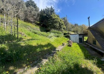 Casa indipendente Via Stefano Canzio, Sant'Olcese - foto 3