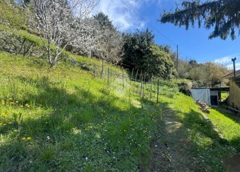 Casa indipendente Via Stefano Canzio, Sant'Olcese - foto 19