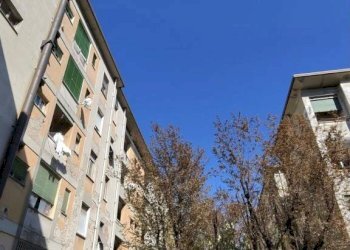 Monolocale Milano - foto 14