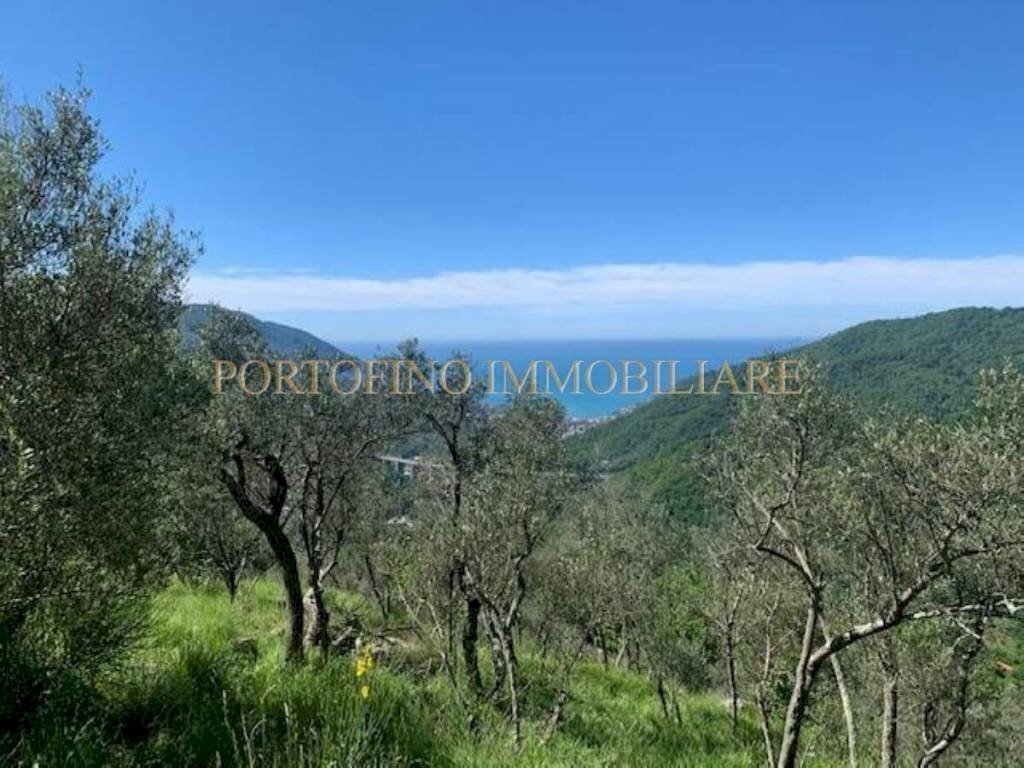 Vista - Rustic TESTANA, Avegno - photo 1