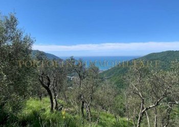 Vista - Rustico TESTANA, Avegno - foto 1