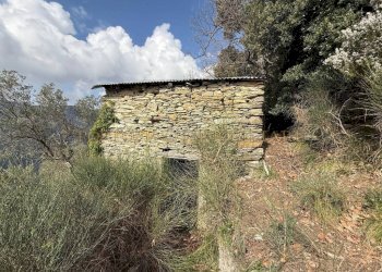 Dettagli - Rustico TESTANA, Avegno - foto 6