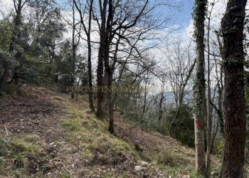 Terreno - Rustico TESTANA, Avegno - foto 8