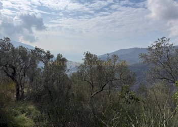 Vista - Rustico TESTANA, Avegno - foto 10