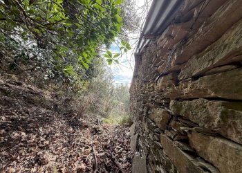 Terreno - Rustico TESTANA, Avegno - foto 13