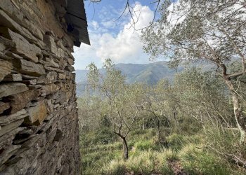 Terreno - Rustico TESTANA, Avegno - foto 15