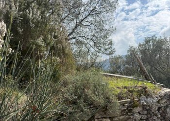 Terreno - Rustico TESTANA, Avegno - foto 18