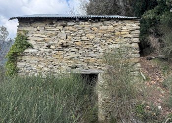 Terreno - Rustico TESTANA, Avegno - foto 19