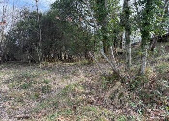 Terreno - Rustico TESTANA, Avegno - foto 21