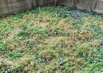 Foto 22 - Two-room apartment VIA BOLOGNA, Cesena - photo 22