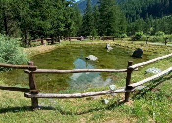 Terreno - Three-room apartment Frazione Carrè, 6, Rhemes-Notre-Dame - photo 44