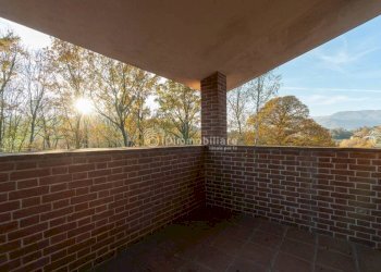 Terrazzo - Villa via Combaluetto, 21, Trana - foto 37