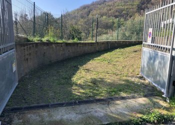 Terreno - Box via Lodi, 167, Genova (zona Molassana) - foto 7