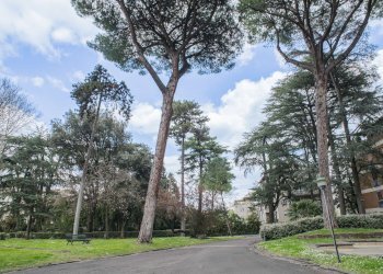 Giardino 3. - Four-room apartment via Asmara, Roma - photo 25