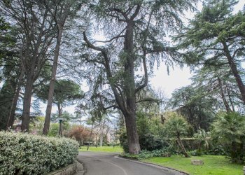 Giardino 10. - Four-room apartment via Asmara, Roma - photo 32