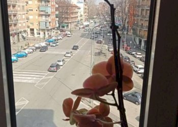 dettagli - Trilocale corso Vercelli, 164, Torino (zona Rebaudengo) - foto 11