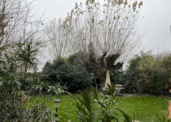 whatsapp image 2025-12-02 at 10.15.47 (13) - Quadrilocale via San Paolo, Medicina - foto 44