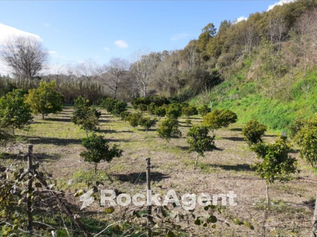 Terreno - Agricultural land contrada Mortella, Marcellinara - photo 1