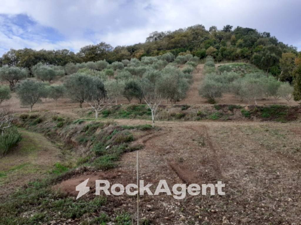 Terreno - Agricultural land contrada Mortella, Marcellinara - photo 3