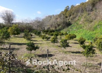Terreno - Agricultural land contrada Mortella, Marcellinara - photo 1