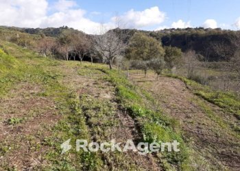 Terreno - Agricultural land contrada Mortella, Marcellinara - photo 5