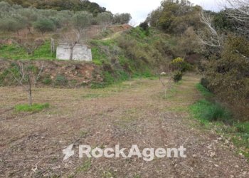 Terreno - Agricultural land contrada Mortella, Marcellinara - photo 8