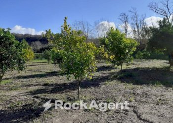 Terreno - Agricultural land contrada Mortella, Marcellinara - photo 10