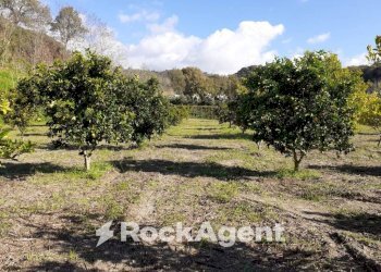 Terreno - Agricultural land contrada Mortella, Marcellinara - photo 16