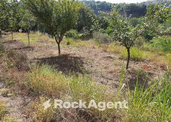 Terreno - Agricultural land contrada Mortella, Marcellinara - photo 20