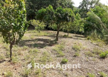 Terreno - Agricultural land contrada Mortella, Marcellinara - photo 22