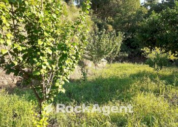 Terreno - Agricultural land contrada Mortella, Marcellinara - photo 23