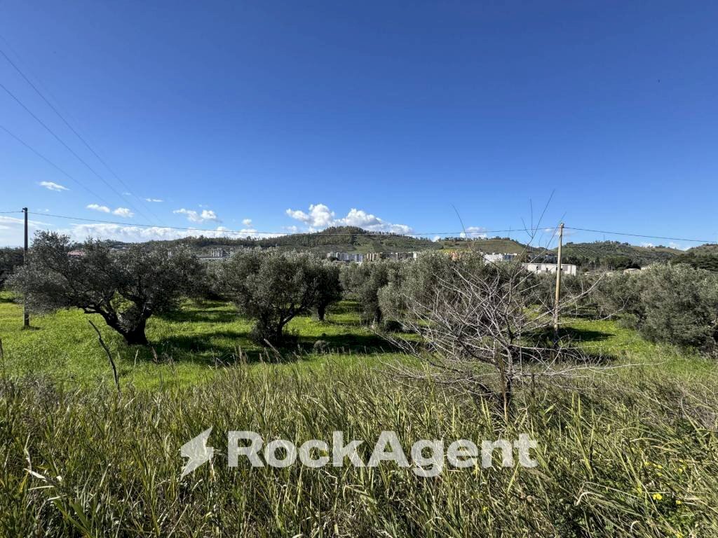 Terreno - Building land viale Magna Grecia, Catanzaro - photo 3