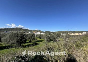 Terreno - Building land viale Magna Grecia, Catanzaro - photo 5