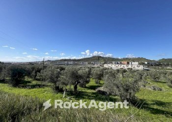 Terreno - Building land viale Magna Grecia, Catanzaro - photo 9