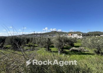 Terreno - Building land viale Magna Grecia, Catanzaro - photo 11